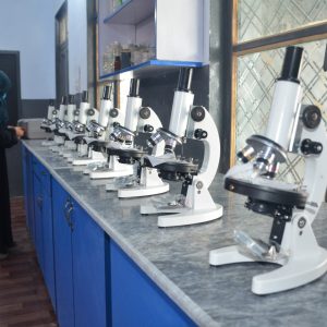 WhatsApp Image 2025-08-12 at 12.51.38 AM